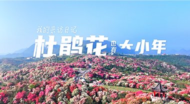 赢博电竞官网操作说明日报社概况 | 