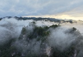 徒手捉鱼