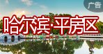 赢博电竞真人官网正规渠道·校园