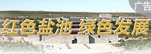 人 民 网 股 份 有 限 公 司 