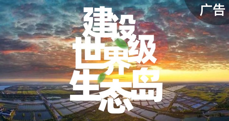 赢博体育app下载app下载选登