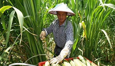 赢博电竞携手曼城开启官方合作日报社概